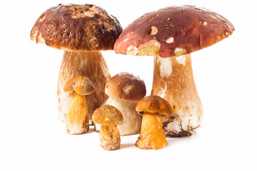 Similar image 1536707