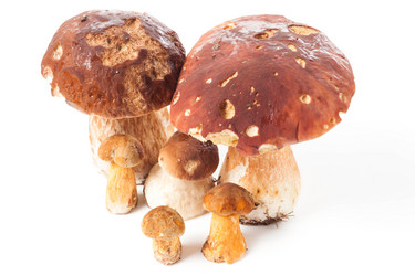 Similar image 1536708