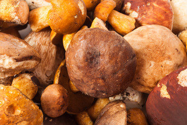 Similar image 1536709