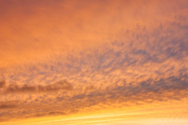 Similar image 1536722