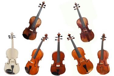 Similar image 1536775