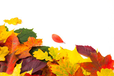 Similar image 1536785