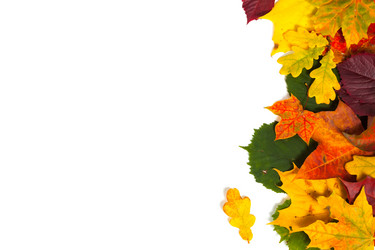 Similar image 1536786