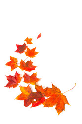 Similar image 1536788