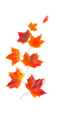 Similar image 1536789