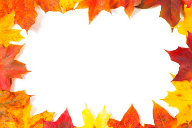 Similar image 1536791