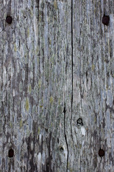 Similar image 1536793