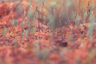 Similar image 1536800