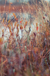 Similar image 1536801