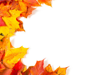 Similar image 1536802