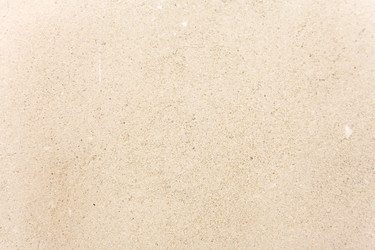 Similar image 1536814