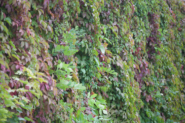 Similar image 1536923