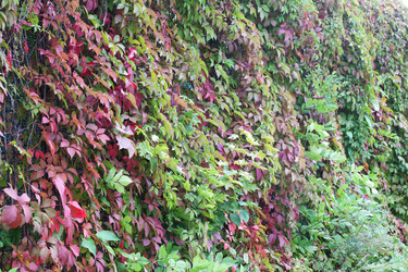 Similar image 1536936