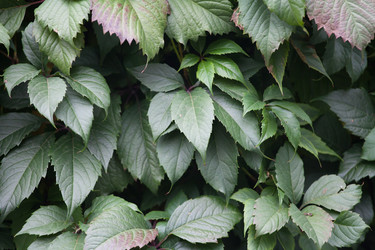 Similar image 1536938