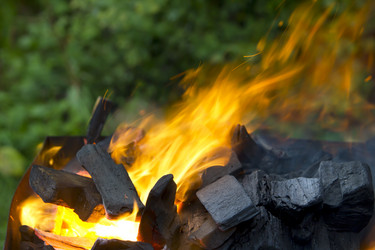 Similar image 1537020