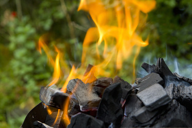 Similar image 1537021