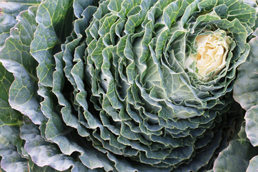 Similar image 1537034