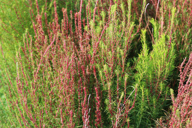 Similar image 1537035