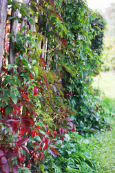 Similar image 1537036