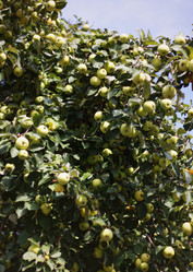 Similar image 1537038