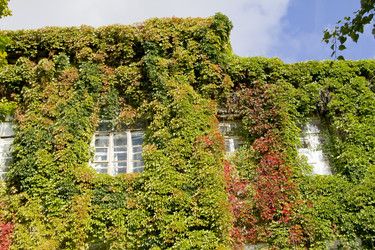 Similar image 1537070