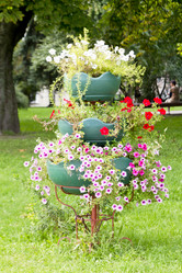 Similar image 1537073