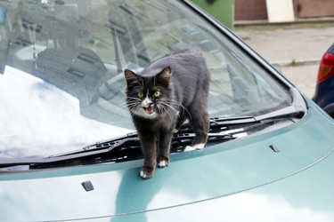 Similar image 1537124