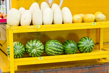 Similar image 1537125