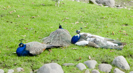 Similar image 1537136