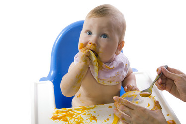 Similar image 1537169