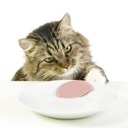 Similar image 1537193