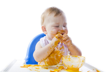 Similar image 1537213