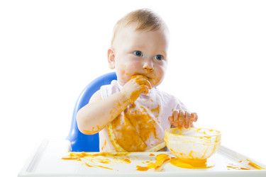 Similar image 1537219