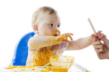 Similar image 1537221