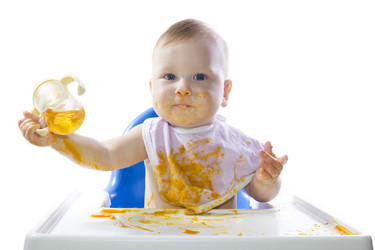 Similar image 1537239