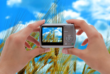 Similar image 1537531