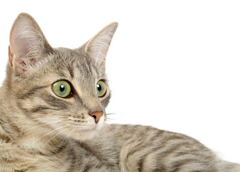 Similar image 1537579