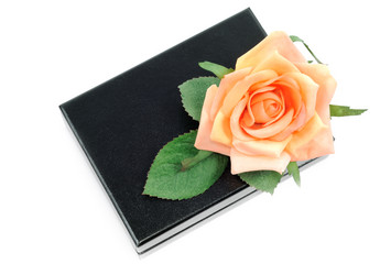 Similar image 1537638