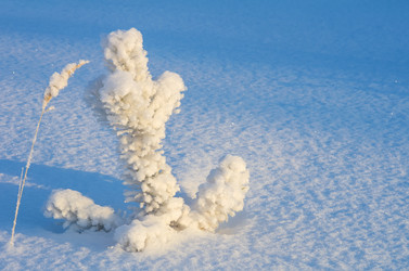 Similar image 1537771