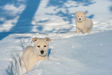 Similar image 1537773