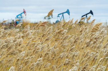 Similar image 1537774