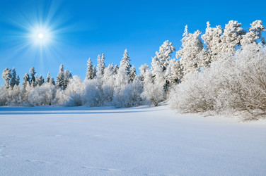 Similar image 1537776