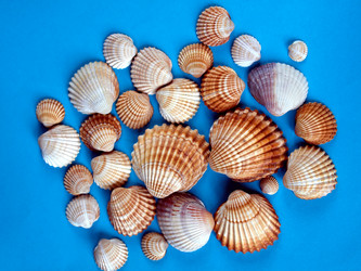 Similar image 1537781