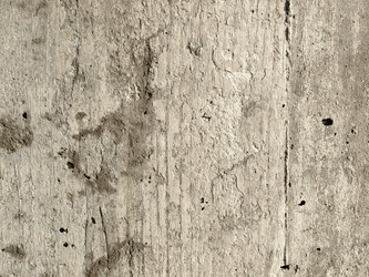 Similar image 1537846