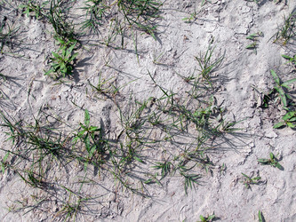 Similar image 1537849