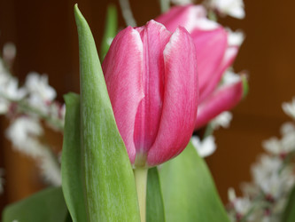 Similar image 1537860