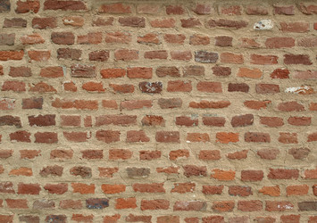 Similar image 1537869