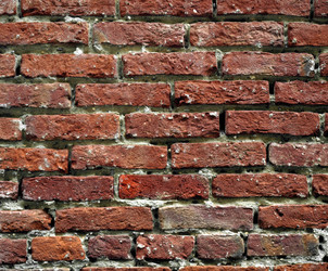 Similar image 1537921