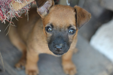 Similar image 1537984