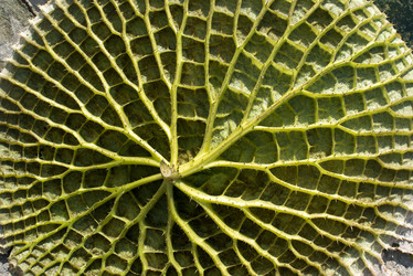 Similar image 1538025